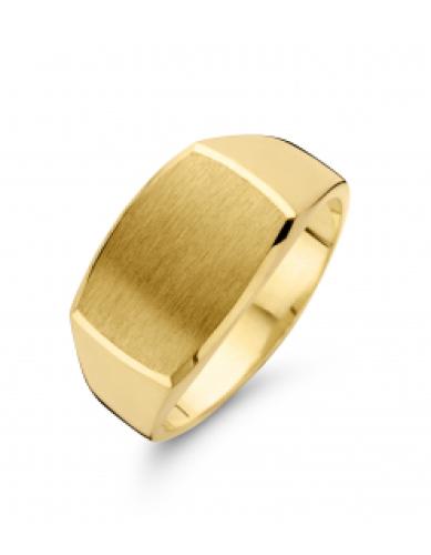 Fjory Herenring, 14krt.goud met massief zilveren kern (maat 20,5) - 21800