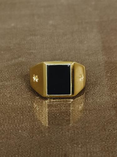 TAJ AMSTERDAM Goldplated  Herenring Adofo met ONYX (mt19,5) - " Krijger" > staat symbool voor kracht - 22222