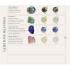 My Bendel Ring, edelstaal verguld. Met Mos Agaat Edelsteen. - 22569