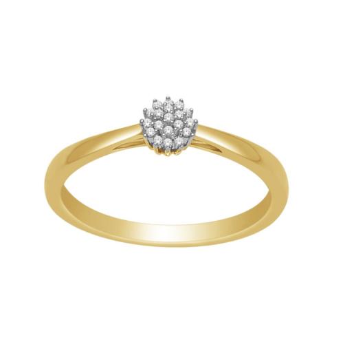Eclat Ring, 14krt.goud met diamant 0,05ct. (maat 17,5) - 22742
