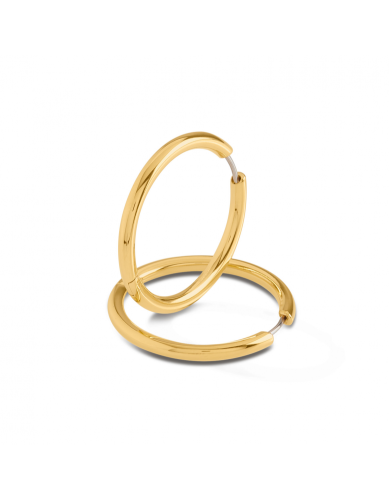 Boccia Oorringen, titanium/verguld model 05072-02 (31x3mm.) - 24143
