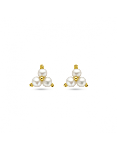 HC Oorknoppen, zilver verguld met zoetwaterparels (6mm.) - 24182