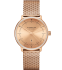Sternglas Naos XS Edition Elyra - 24821
